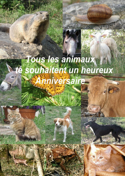 Carte Anniversaire  Par Tous Les Animaux  Envoyer une 